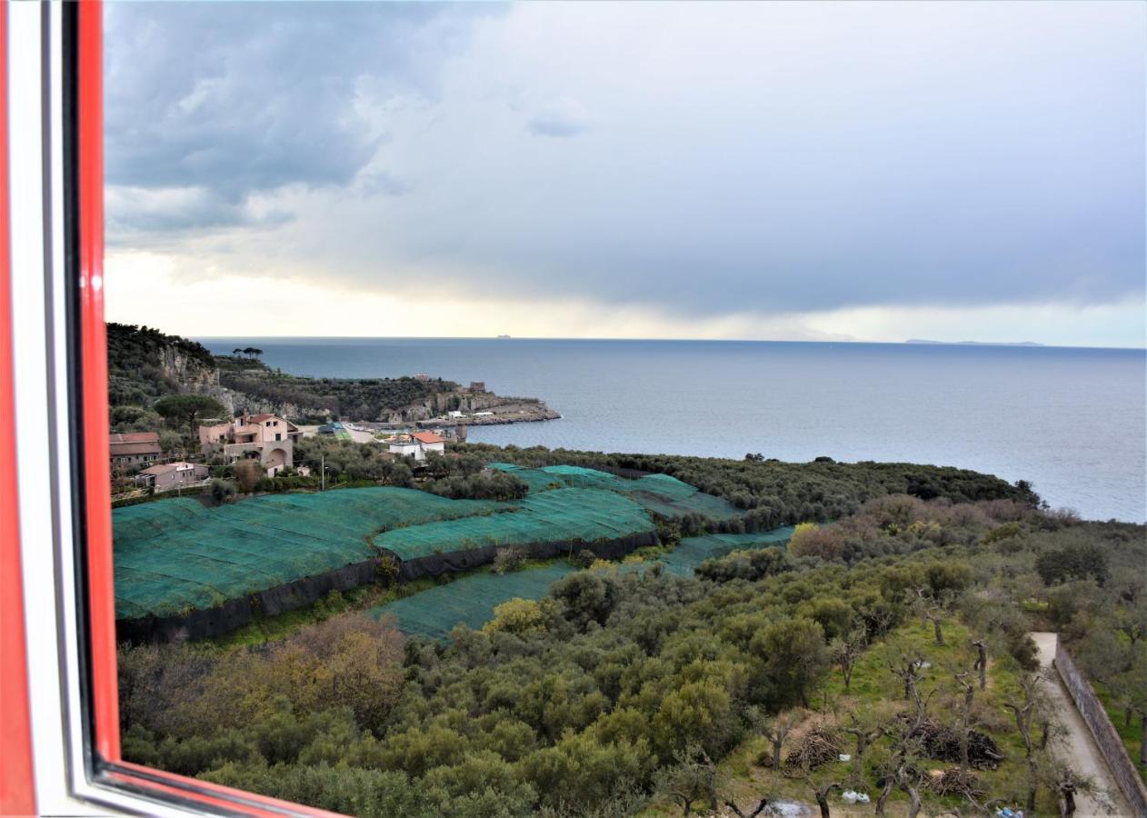 Hotel Dania Sorrento Exterior photo